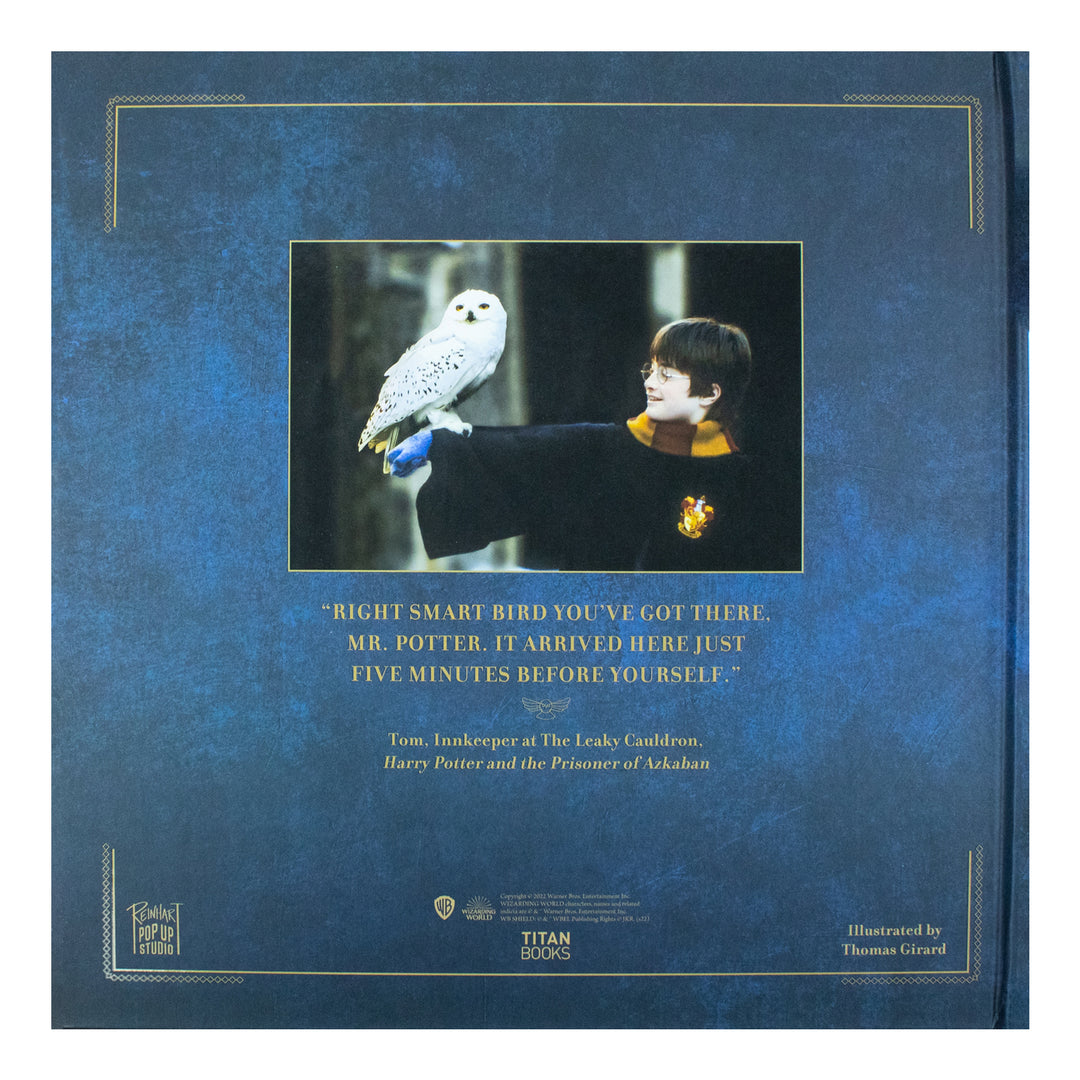 Hedwig Activity Harry Potter Hedwig Advent Calendar - Fun Holiday Gift for Kids ...