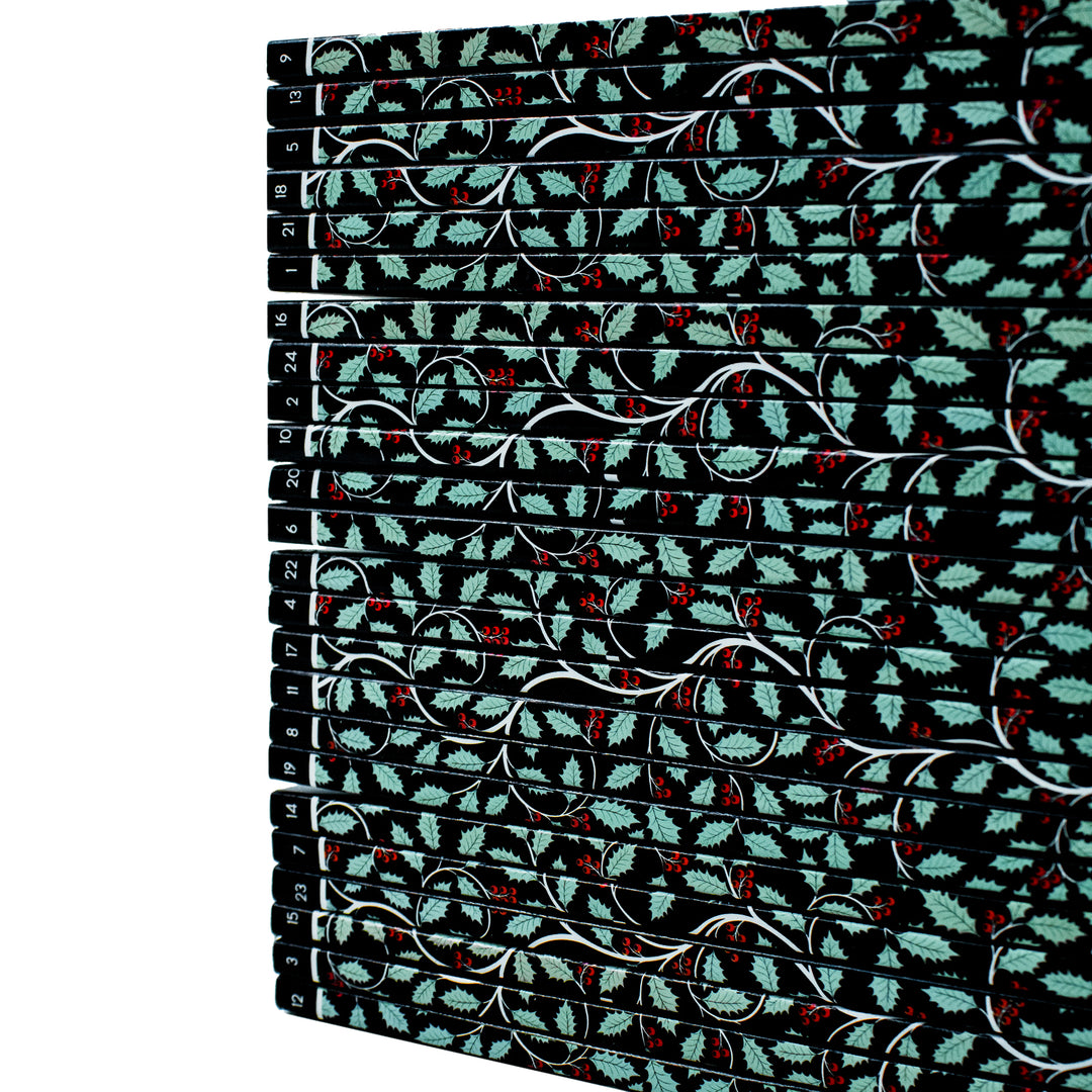 Disney Twisted Tales Advent Calendar Box Set: Fantasy Books for Kids - Holiday Gift with Magic, Adventure, Fun & Surprises for Children