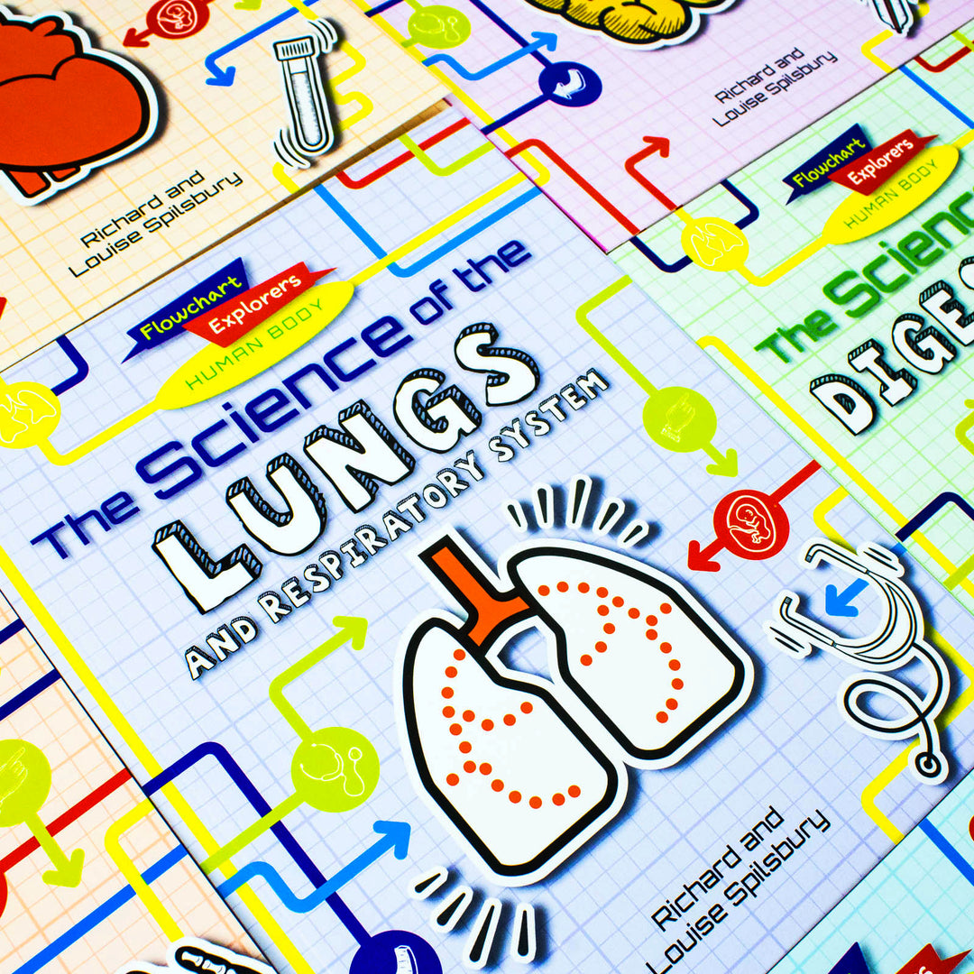 Flowchart Human Body Flowchart Explorers Human Body STEM 6 Science Books Set – Lowplex Books