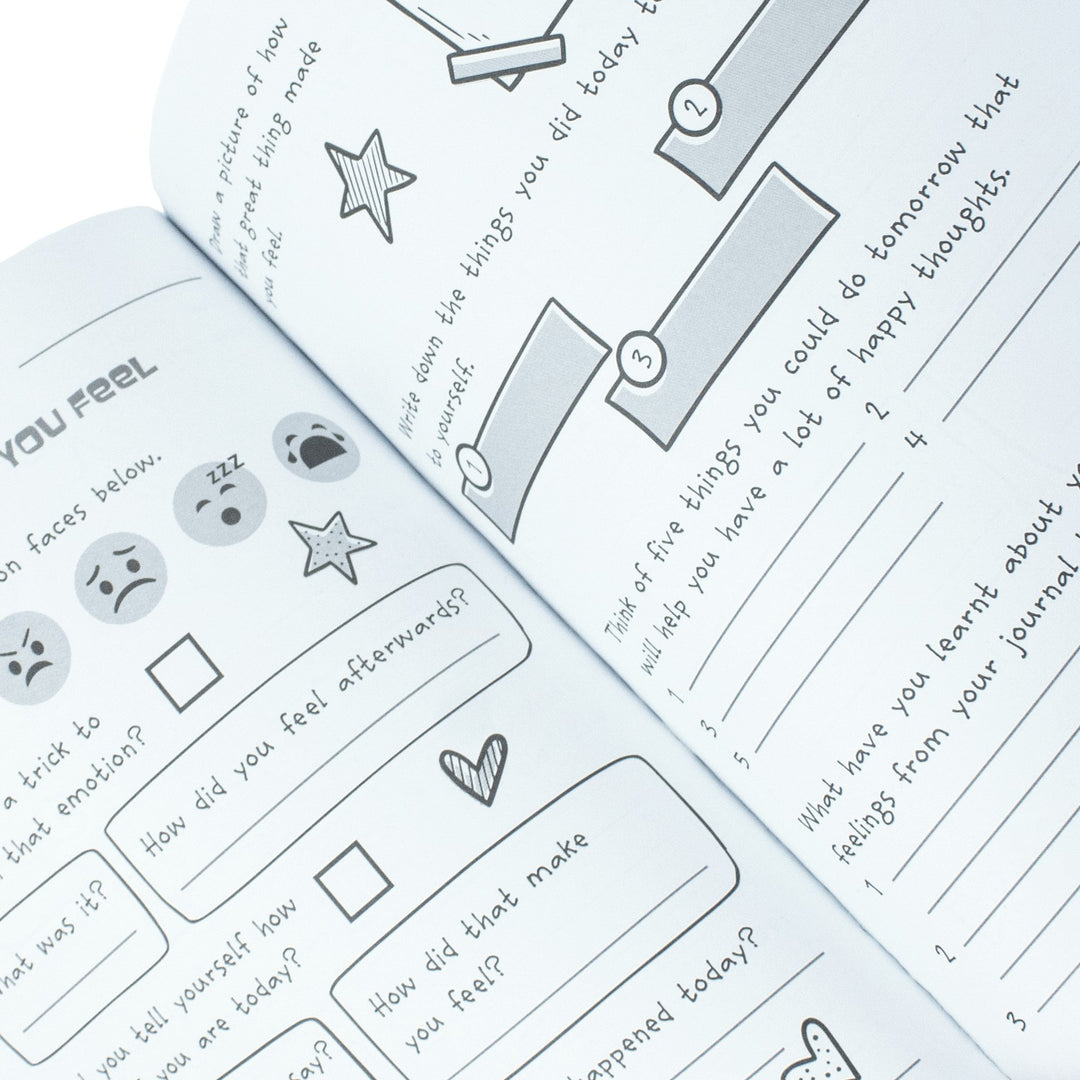 My Daily Reflection Journal: Helps children and tweens to recognise big emotions and big feelings