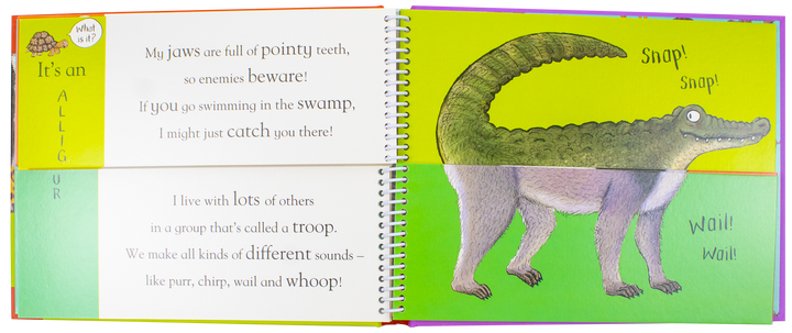 Axel Schefflers Flip Flap Series 5 Books Collection (1-5) (Farm, Jungle, Pets, Zoo, Minibeasts) | Hardback