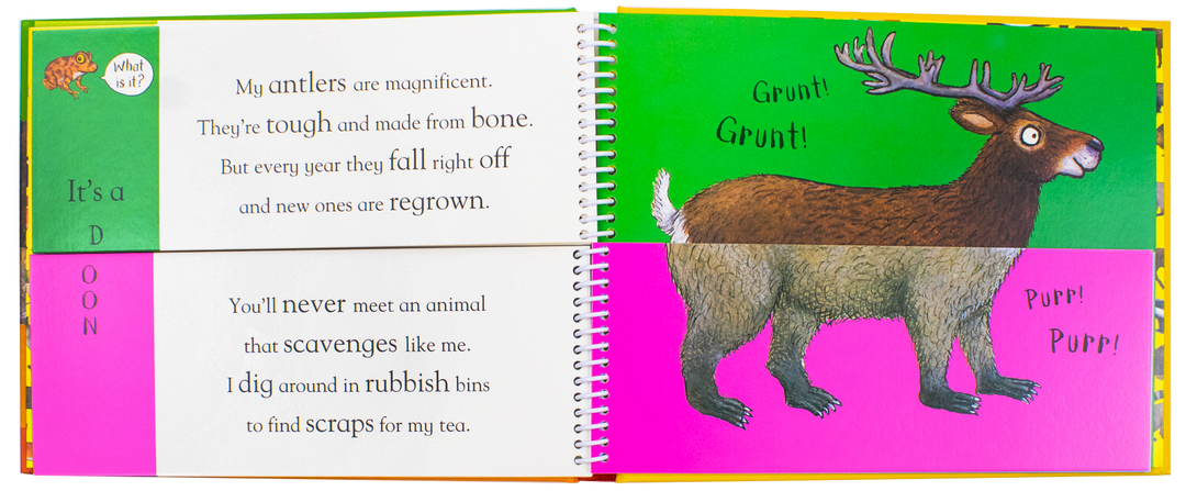 Axel Schefflers Flip Flap Series 5 Books Collection (6-10) (Safari, Ocean, Dinosaurs, Frozen, Forest) | Hardback