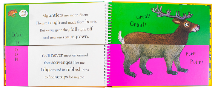 Axel Schefflers Flip Flap Series 5 Books Collection (6-10) (Safari, Ocean, Dinosaurs, Frozen, Forest) | Hardback
