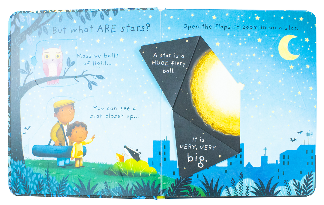 Usborne Lift the Flap Very First Questions & Answers 4 Book Set (What is Poo? What are Germs? What are Stars? Why Do I Have to Go to Bed?)