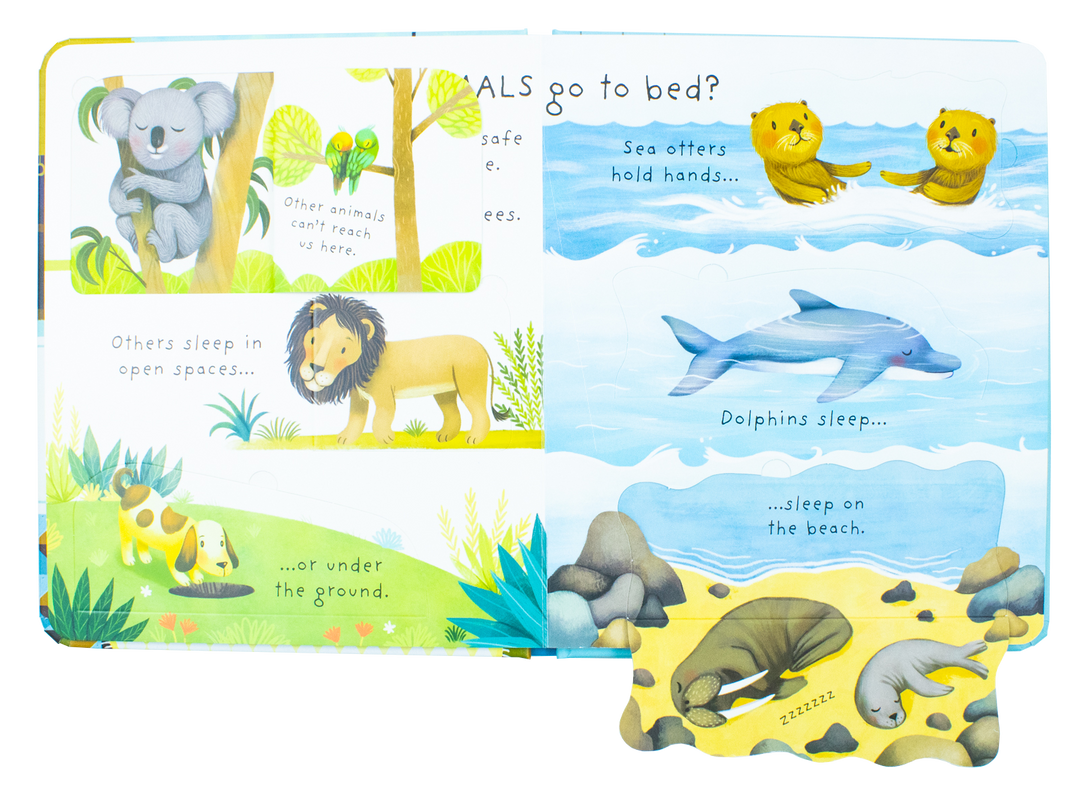 Usborne Lift the Flap Very First Questions & Answers 4 Book Set (What is Poo? What are Germs? What are Stars? Why Do I Have to Go to Bed?)