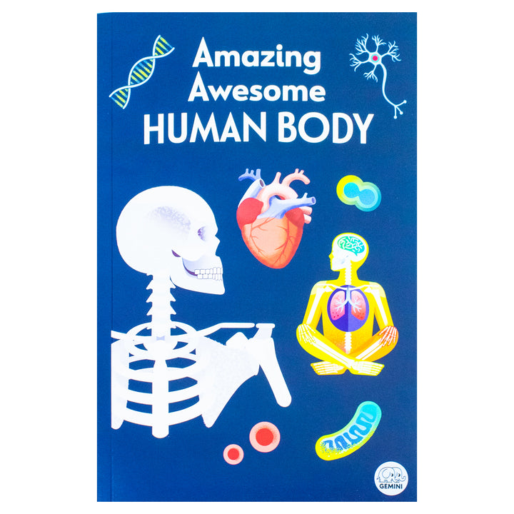 Amazing Awesome Human Body (Ignite STEM Book + Model Kit) Board Book By Susan Mayes
