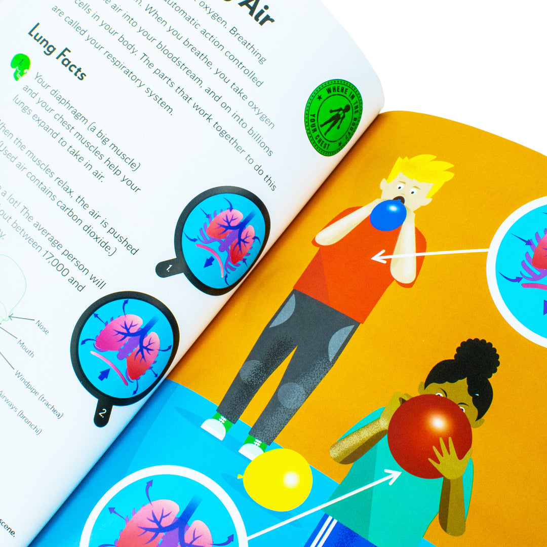 Amazing Awesome Human Body (Ignite STEM Book + Model Kit) Board Book By Susan Mayes