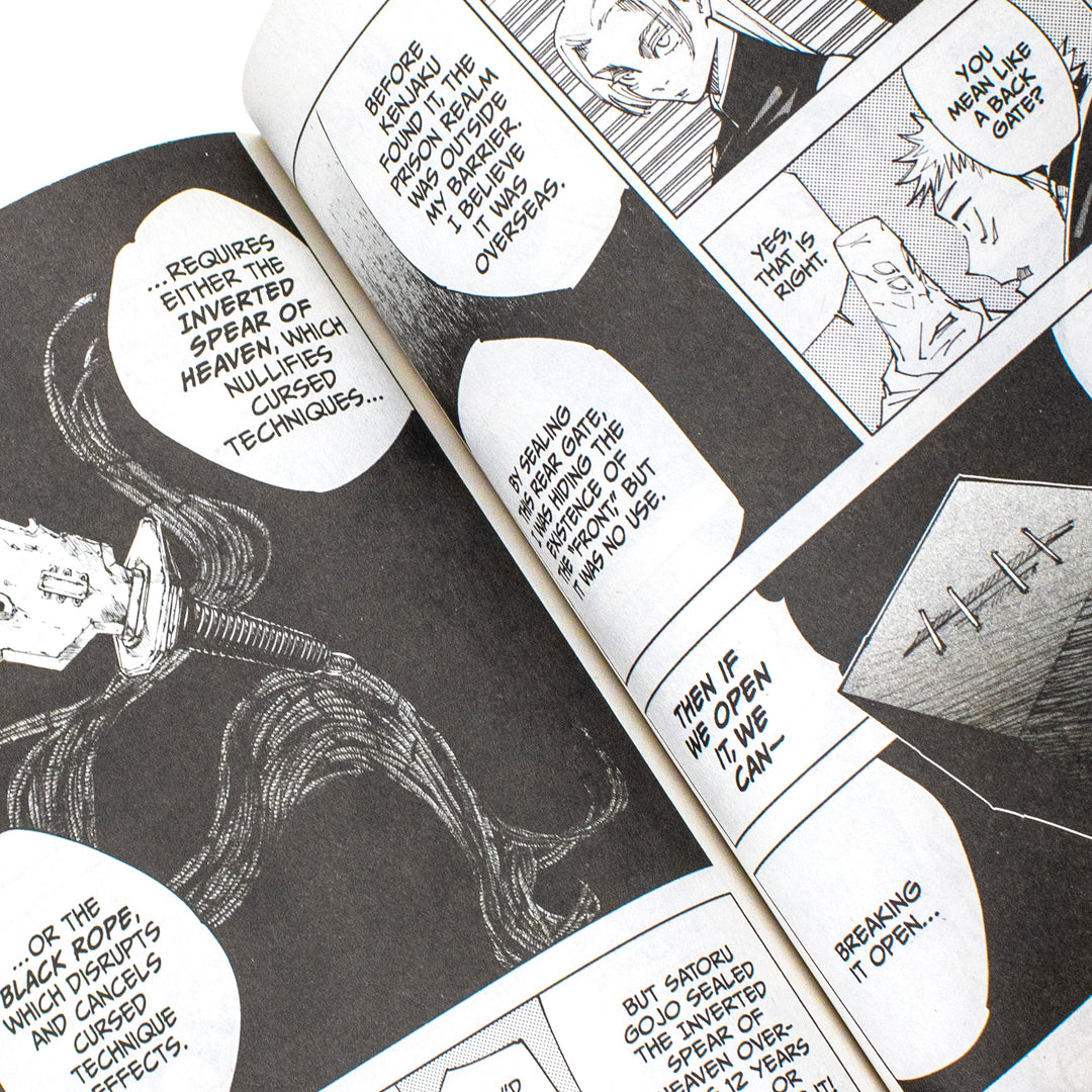 Jujutsu Kaisen, Vol. 17 Book: Perfect Preparation: Volume 17 (Paperback)