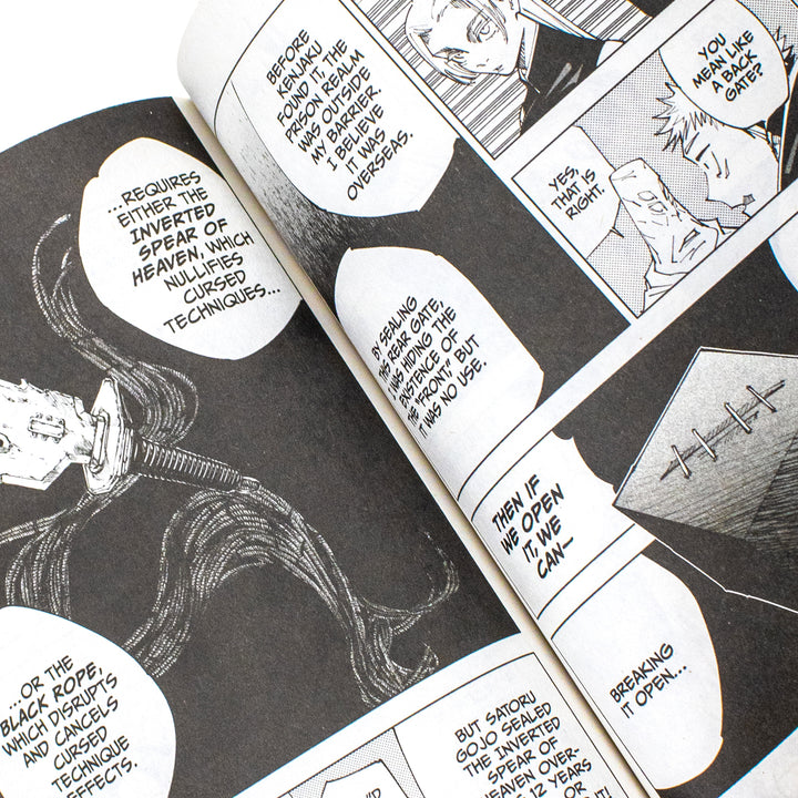 Jujutsu Kaisen, Vol. 17 Book: Perfect Preparation: Volume 17 (Paperback)