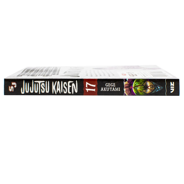 Jujutsu Kaisen, Vol. 17 Book: Perfect Preparation: Volume 17 (Paperback)
