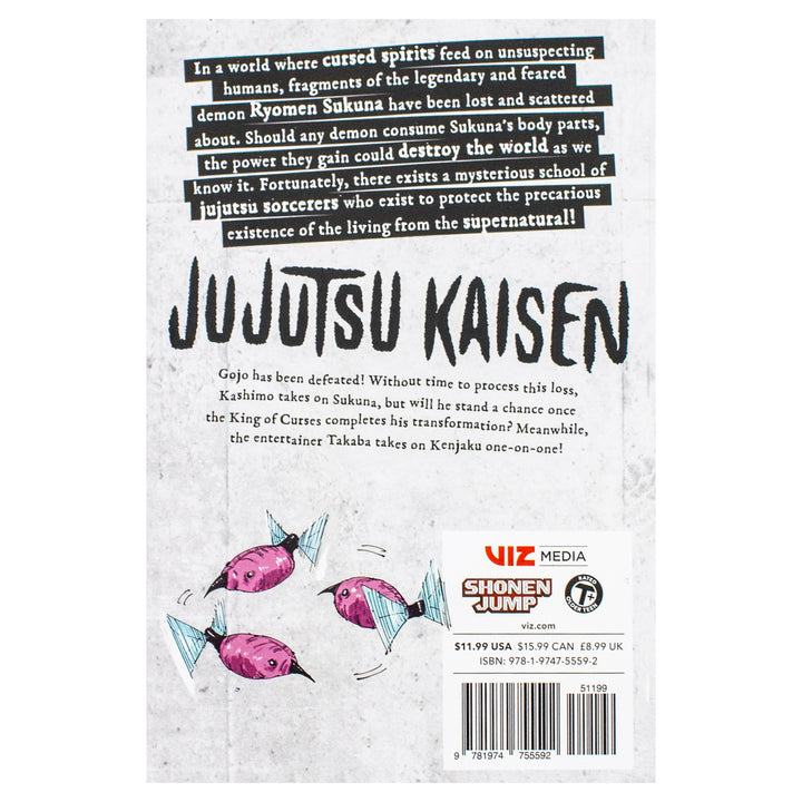 Jujutsu Kaisen, Vol. 27 Book: Volume 27 (Paperback)