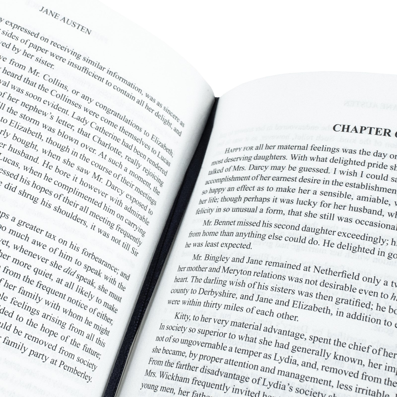 The Complete Novels of Jane Austen Leather Bound – Lowplex Books