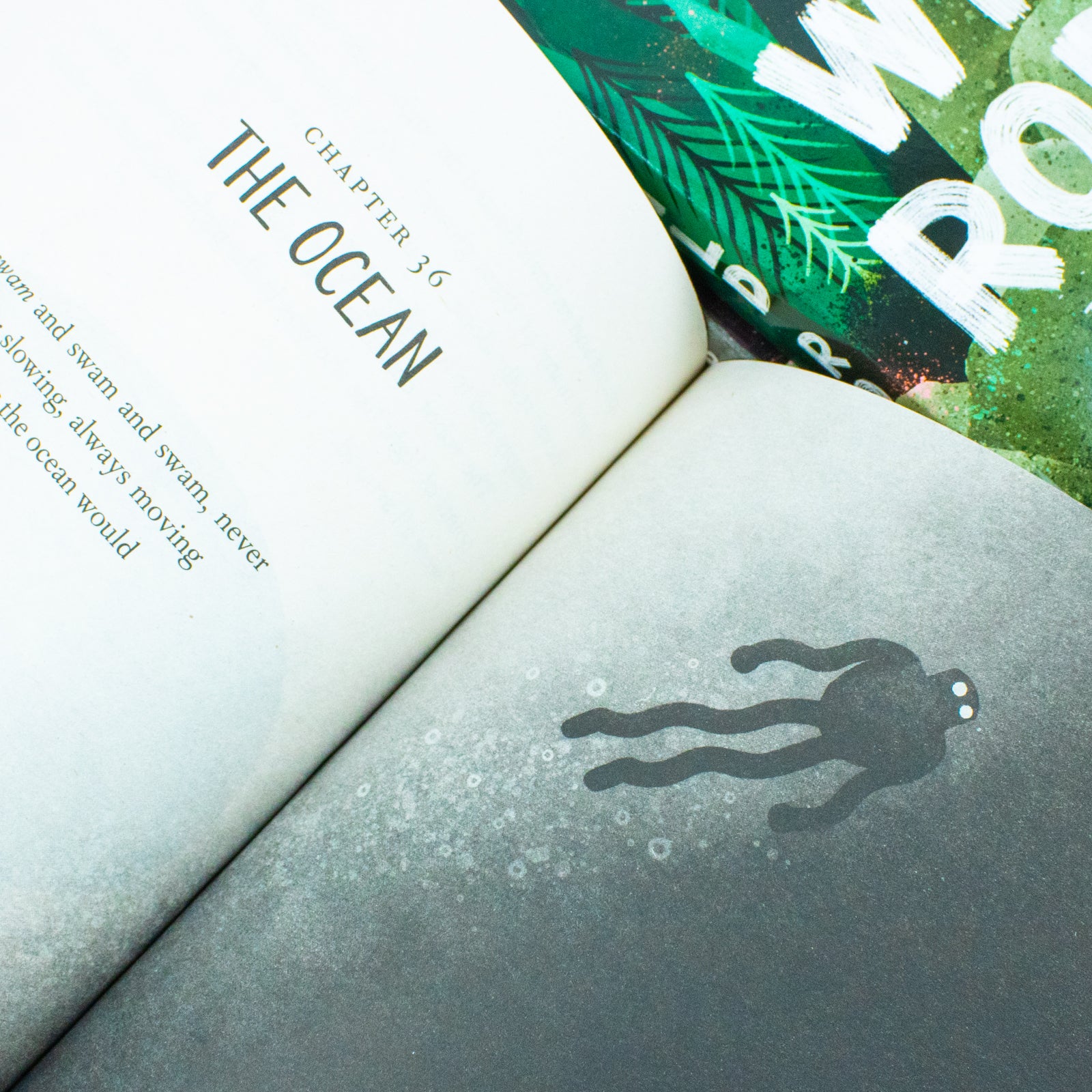 The Wild Robot Series - 3 Books for 8+ Years Readers – Lowplex Books