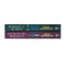 Tricia Levenseller Collection 2 Books Set ( Warrior of the Wild, The Shadows Between Us)