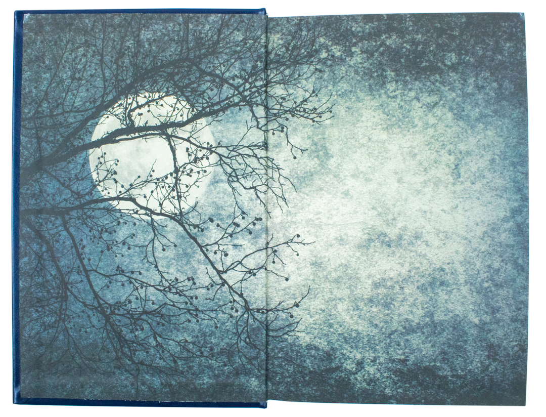 Bram Stoker’s Dracula & Other Horror Classics Book | Timeless Gothic Fiction, Supernatural Tales & Vampire Stories in a Leatherbound Edition