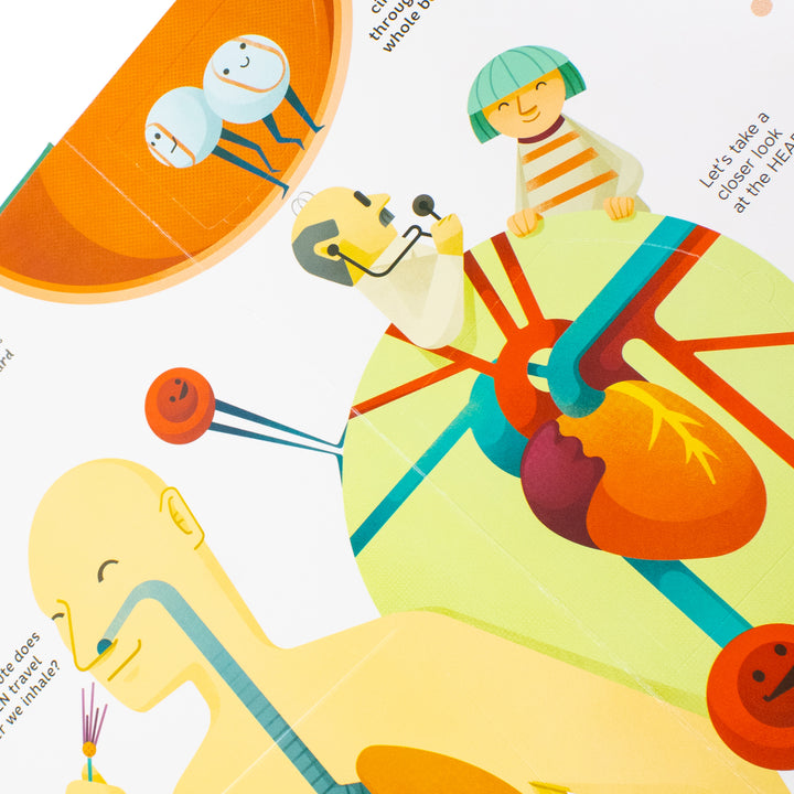 Lift the Flap: Human Body illustrations by Rossella Trionfetti | Hardback