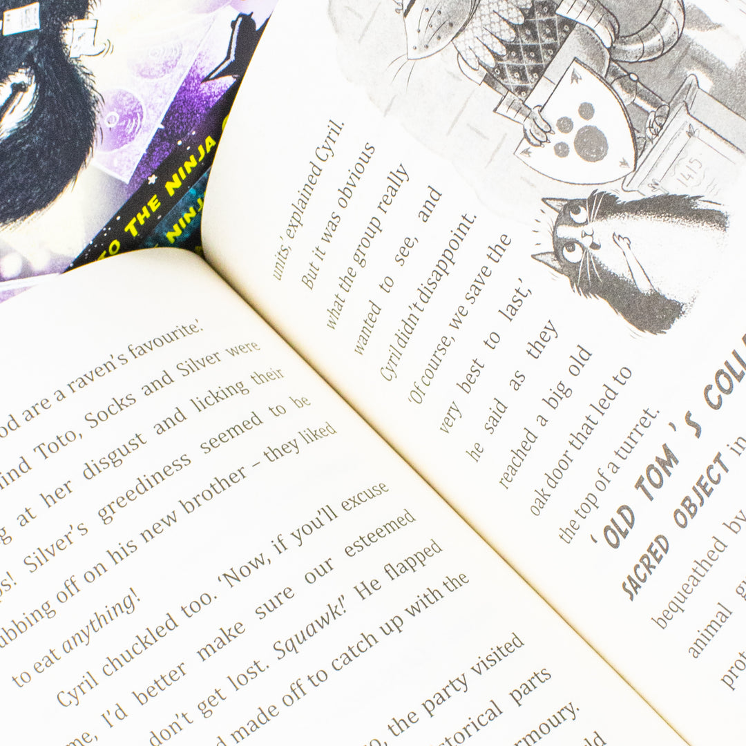 Toto the Ninja Cat Series 4 Books Collection Set By Dermot OLeary