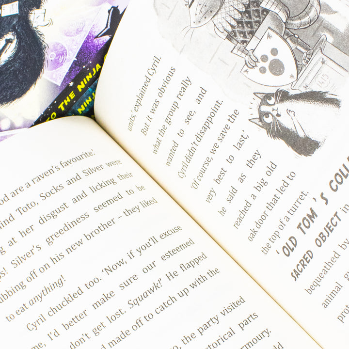 Toto the Ninja Cat Series 4 Books Collection Set By Dermot OLeary