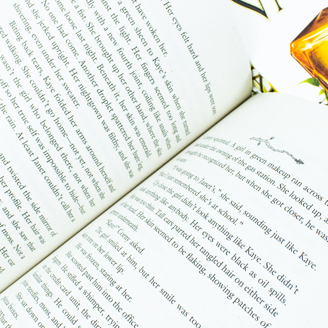 Modern Faerie Tale Series 3 Books Collection Set By Holly Black (Tithe, Valiant, Ironside)