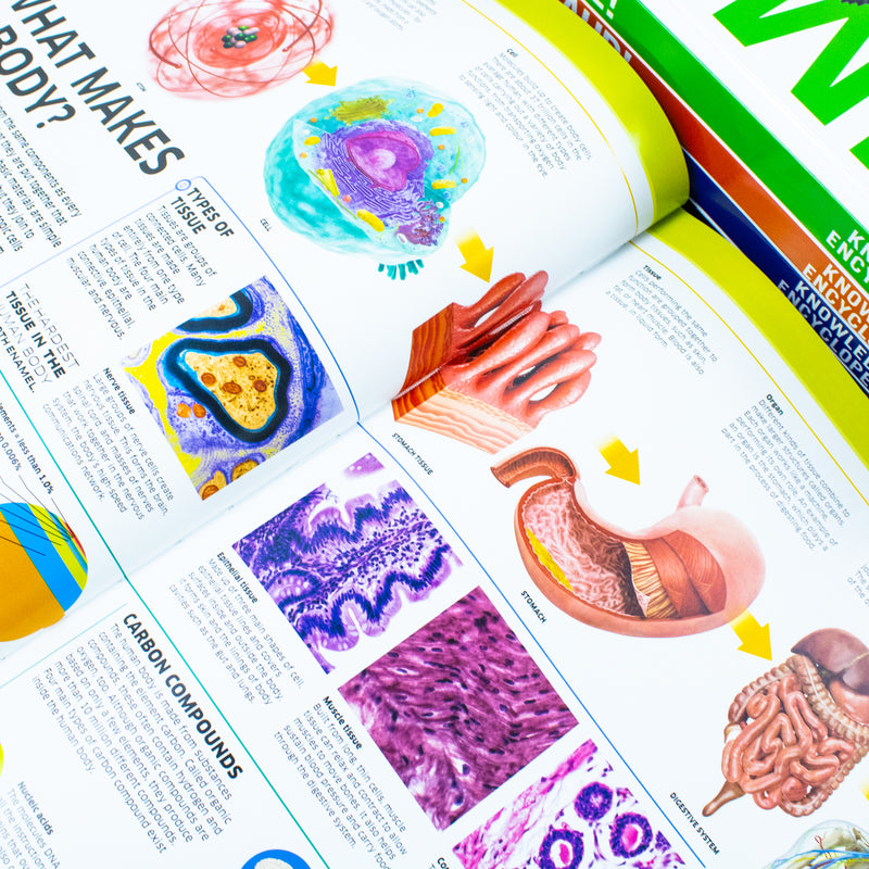DK Knowledge Encyclopedias 5-Book Collection | Educational & fun set for kids – science, space, human body, animals, dinosaurs, STEM learning