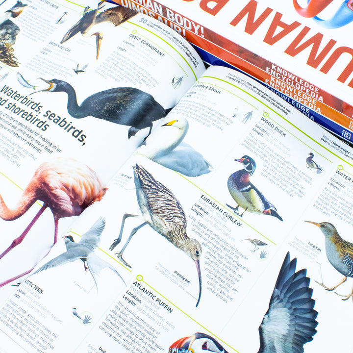 DK Knowledge Encyclopedias 5-Book Collection | Educational & fun set for kids – science, space, human body, animals, dinosaurs, STEM learning