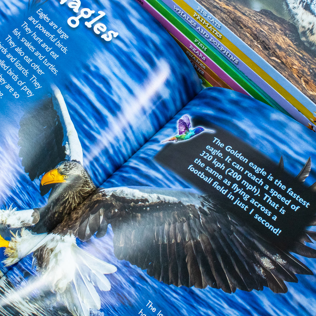 Children Introduction To Nature For Beginners 10 Hardback Book Collection Set:: (Bear, Big Cats, Birds, Crocodiles And Alligators, Fish, Penguins, Primates, Sharks, Snakes, Whales And Dolphins)