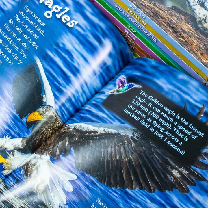 Children Introduction To Nature For Beginners 10 Hardback Book Collection Set:: (Bear, Big Cats, Birds, Crocodiles And Alligators, Fish, Penguins, Primates, Sharks, Snakes, Whales And Dolphins)