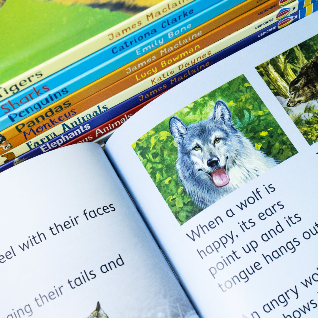 Usborne Beginners Animals Collection 10 Books Box Set – Educational Kids Book Set on Wildlife & Nature (Bears, Sharks, Tigers, Penguins, Wolves &More)