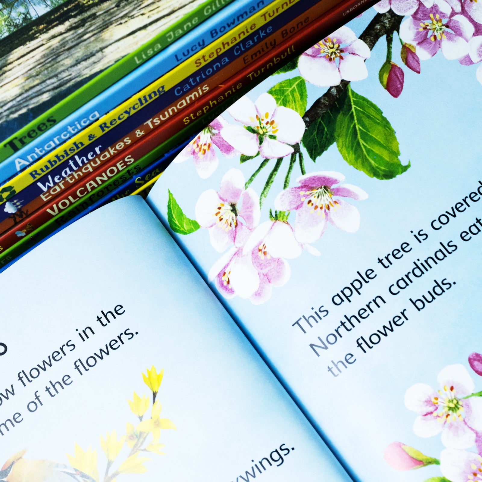 Usborne Beginners Our World Series 10 Books Collection Box Set