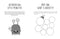 A Child's Guide to Emotions 4-Book Set (Be Strong, Be Brave, You're a Star, Don't Worry Be Happy) | Anxiety Relief & Mood Management for Kids 7-12