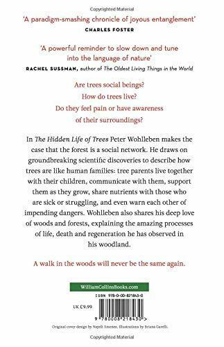 The Hidden Life of Trees The International Bestseller Peter Wohlleben