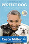 Cesar Millan How to Raise the Perfect Dog: Through Puppyhood and Beyond