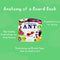 First Nature Childrens Collection 4 Book Set (ANT, BEE, CATERPILLAR & LADYBIRD) By Harriet Evans- Ages 0-5