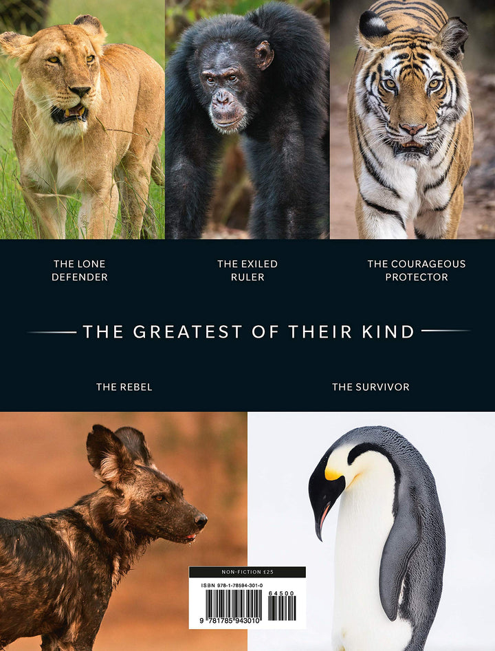 Dynasties The Rise and Fall of Animal Families Stephen Moss David Attenborough