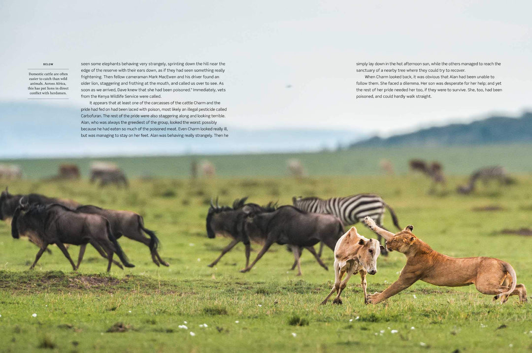 Dynasties The Rise and Fall of Animal Families Stephen Moss David Attenborough