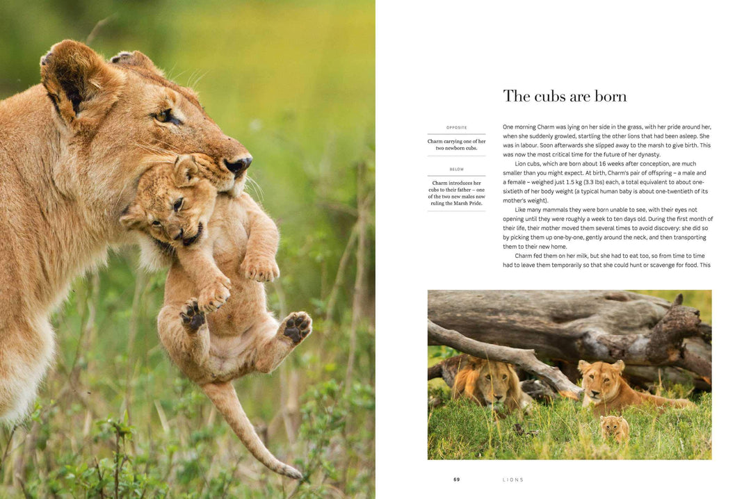 Dynasties The Rise and Fall of Animal Families Stephen Moss David Attenborough