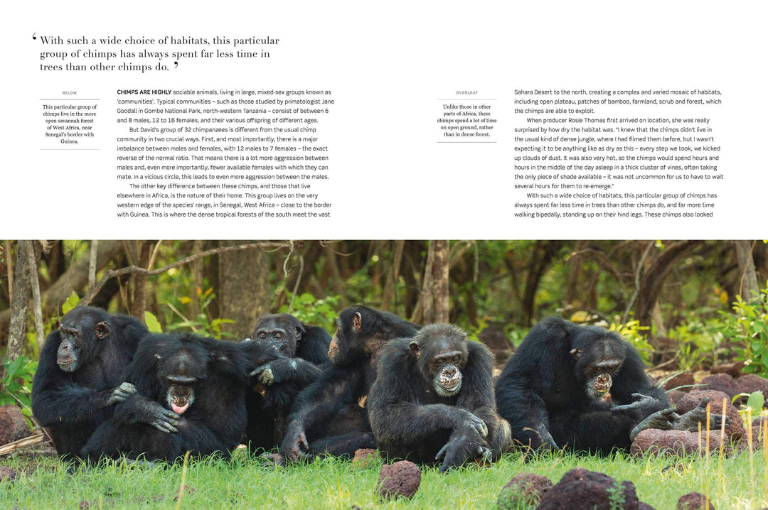 Dynasties The Rise and Fall of Animal Families Stephen Moss David Attenborough