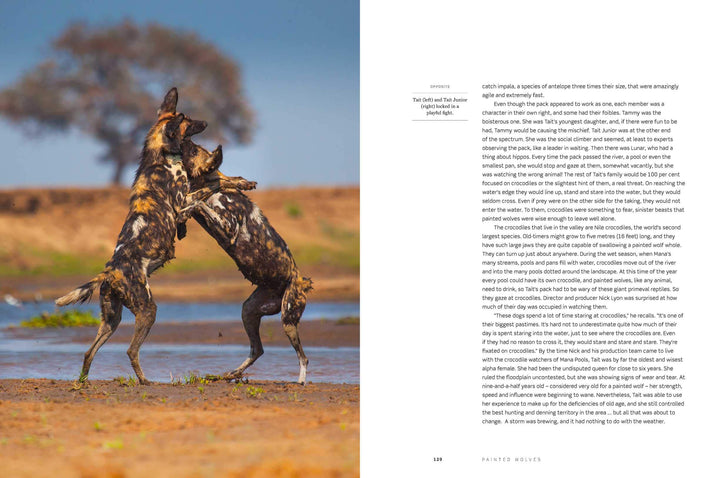 Dynasties The Rise and Fall of Animal Families Stephen Moss David Attenborough