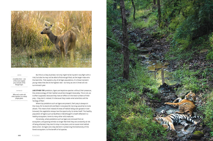 Dynasties The Rise and Fall of Animal Families Stephen Moss David Attenborough