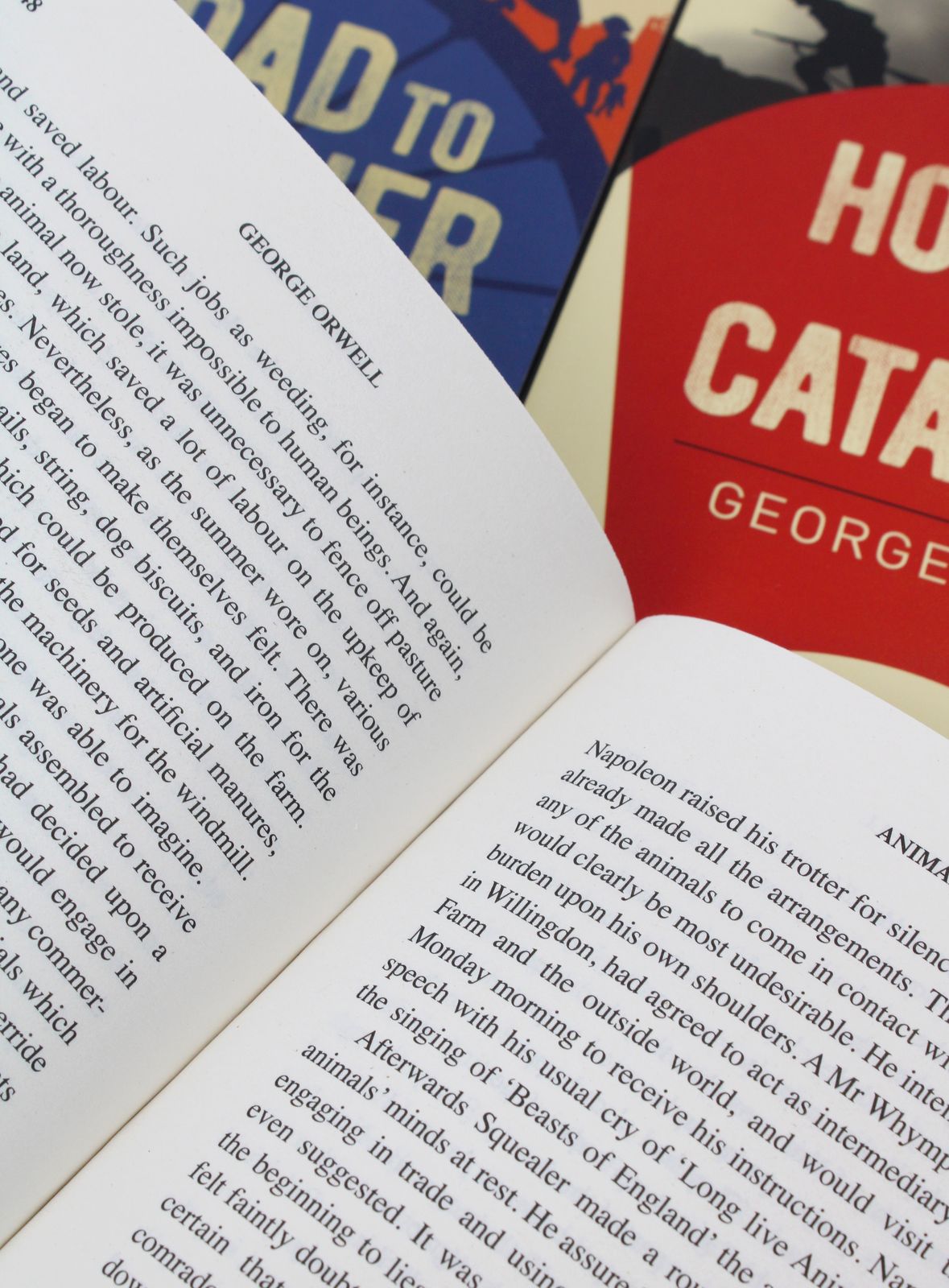 The Classic George Orwell Collection 5 Books Box Set – Lowplex Books