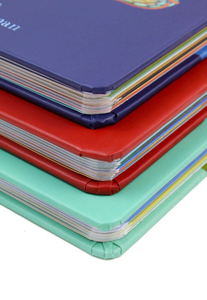 Lift the Flap Hidden World Habitat Series 3 Books Collection Set Ages 0-5