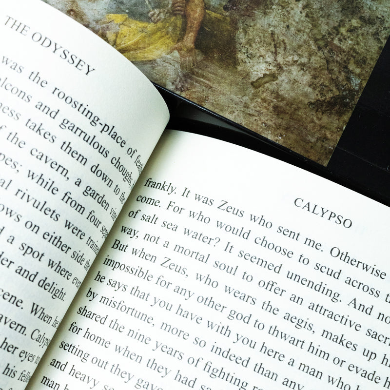 The Homer Collection 2 Books Set (The Iliad & The Odyssey) | Classics,Epic Poetry,Greek Mythology, Ancient Literature, Essential Reads,Paperback