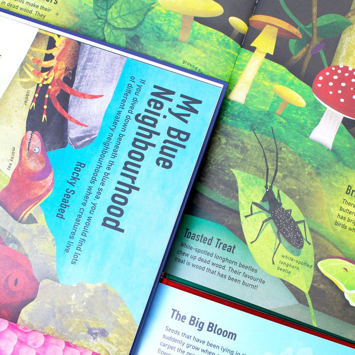 Colours of the World 3-Book Set | Blue Planet, Red Planet & Green Planet | Illustrated Children’s Books on Nature, Learning & Color Recognition