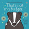 Thats not my 3 books set collection ( Otter, badger, squirrel