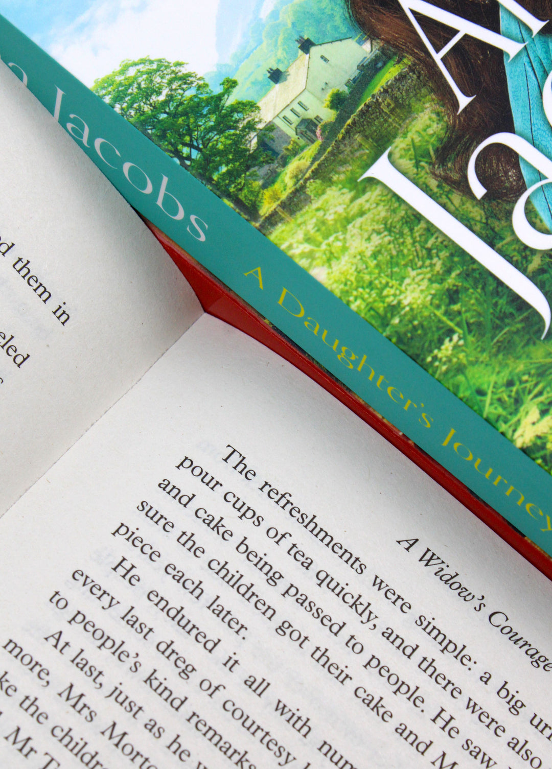 Anna Jacobs Birch End Series 3-Book Collection Set– A Widow's Courage, A Daughter's Journey, A Woman's Promise |Heartfelt Family Saga & Fiction Series