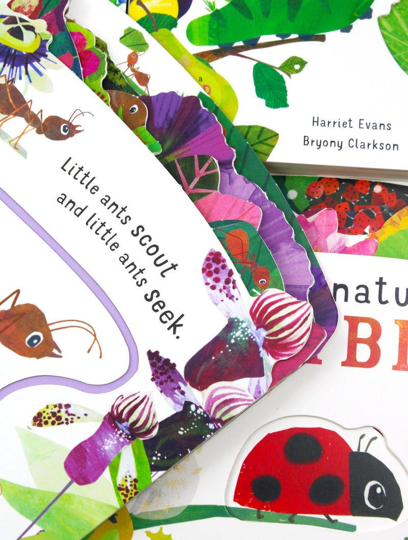 First Nature Childrens Collection 4 Book Set (ANT, BEE, CATERPILLAR & LADYBIRD) By Harriet Evans- Ages 0-5