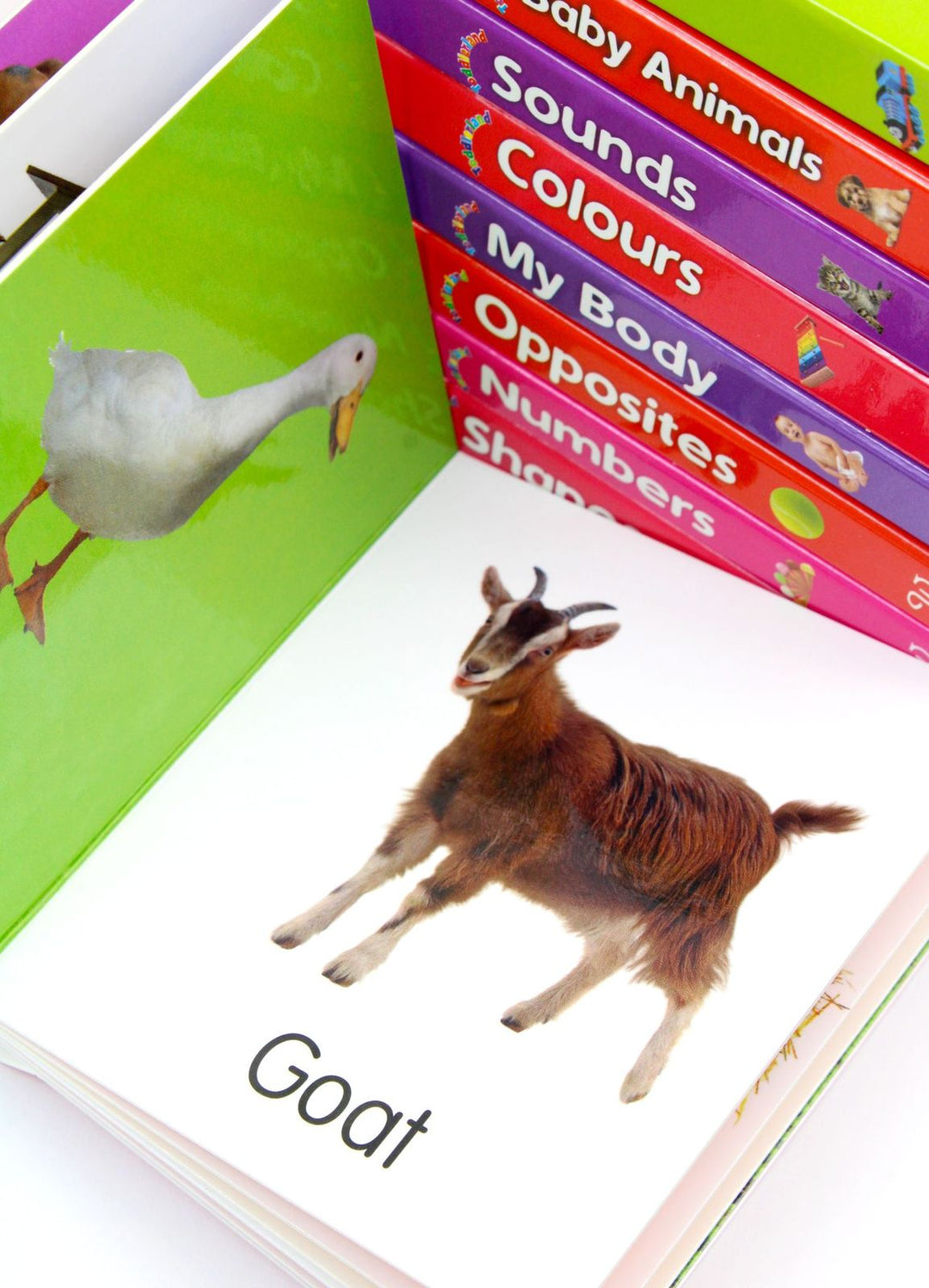 Collection Boardbooks My First Little Library Collection 10 Boardbooks Box set – Lowplex Books
