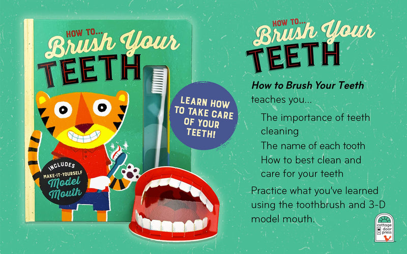 How To Brush Your Teeth Includes Make-It-Yourself Model Mouth