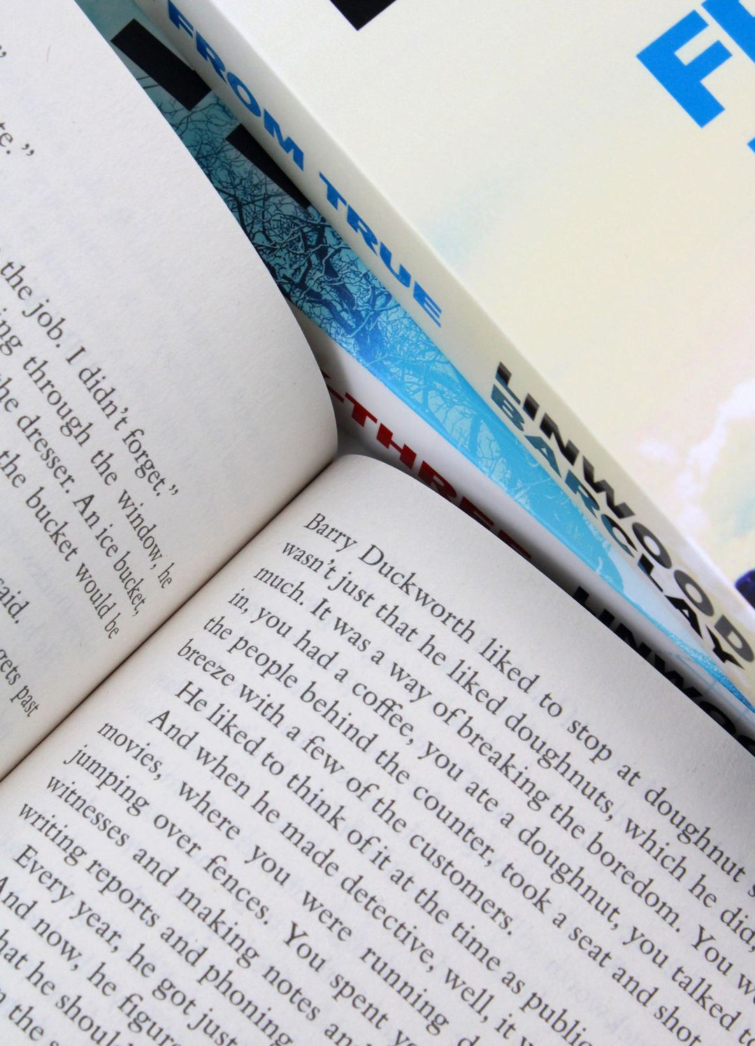 Promise Falls Trilogy – 3 Book Set by Linwood Barclay (Broken Promise, Far From True, The Twenty-Three) | Mystery, crime, suspense, bestseller