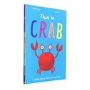 Photo of This is Crab, Frog and Owl 4 Books Set by Jacqui Lee on a White Background